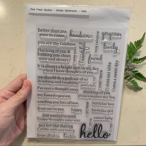 34 Stamps “Simple Sentiments” (Pink Fresh Studios)